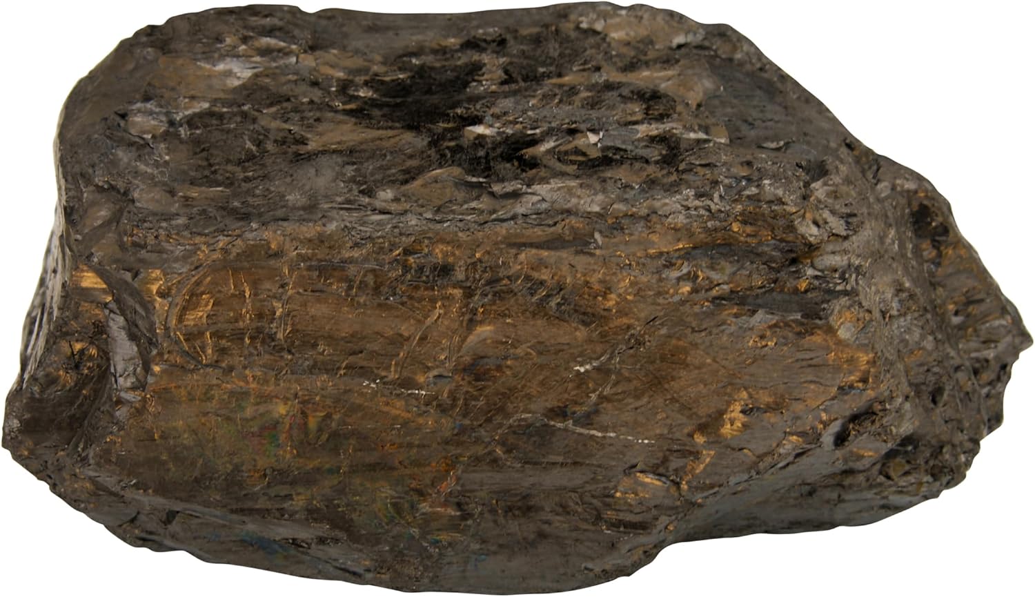 46.2 Pound Piece of Anthracite Coal for Carving or Display G6541