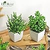 Product Photo 5