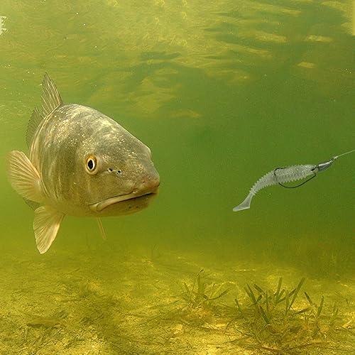 Miniatura 5 de MAFIMOEA - Cabezas de plantilla de bala con peso de Texas Rig Hooks Swimbait Hooks Bass Crappie Walleye Trucha Pesca sin malas hierbas Swimbait Jig