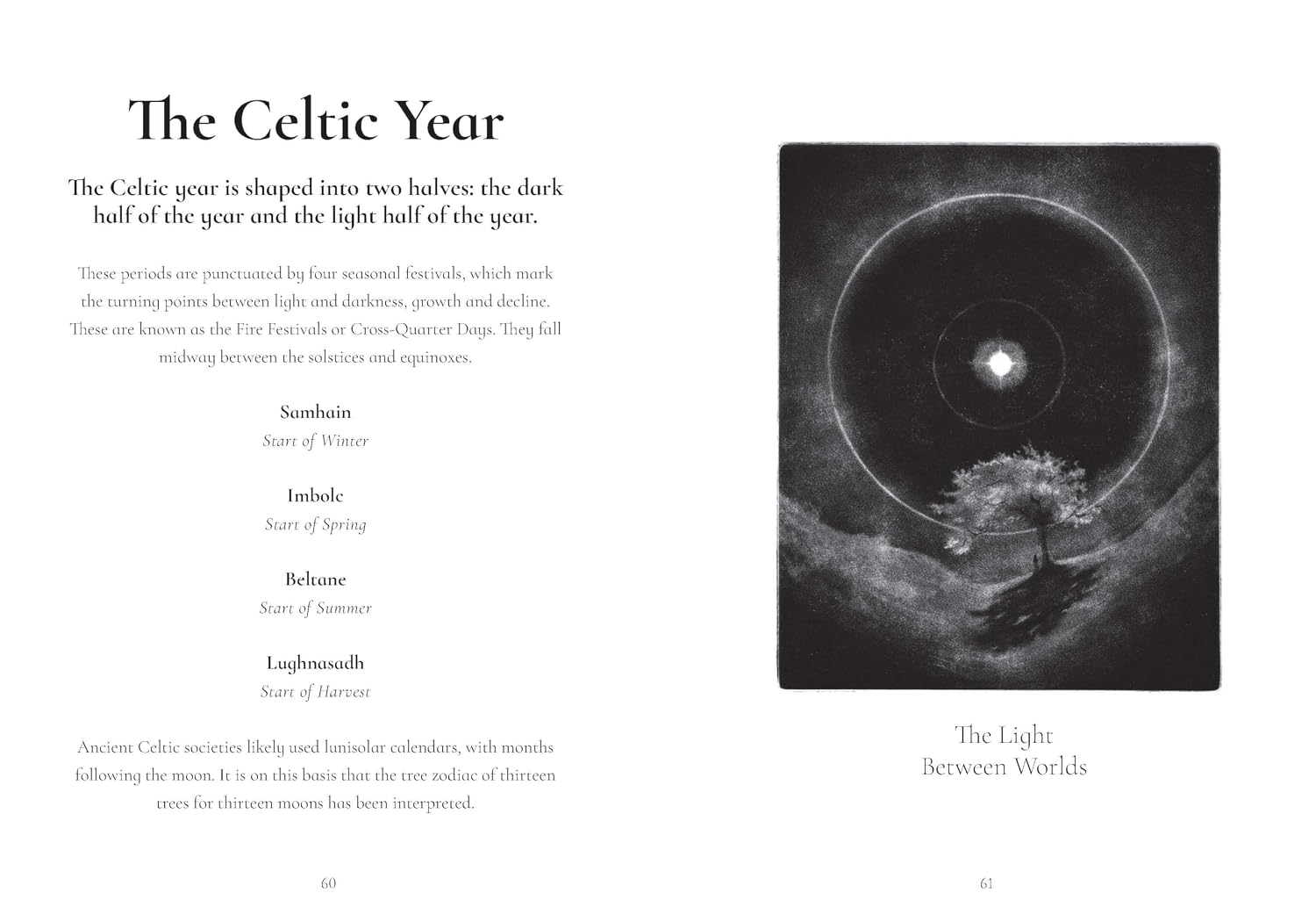 The Tree Zodiac: 13 Trees for 13 Moons: Which Tree Are You?