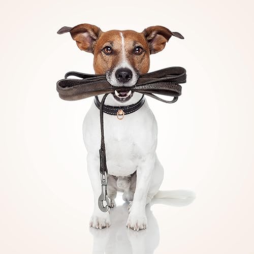 Miniatura 4 de INKNOTE Rivets - Tornillo de anillo en D con botón de cabeza de bola, anillo de metal con perforación, mochila y monedero, manualidades