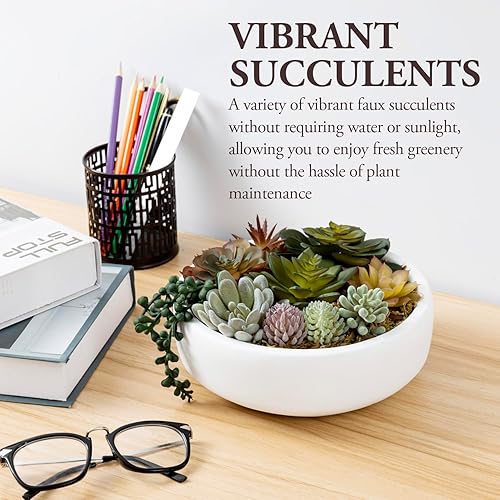 Miniatura 3 de MyGift Arreglo artificial redondo moderno de 8 pulgadas en maceta en un cuenco de hormigón blanco, mini suculentas artificiales surtidas en una