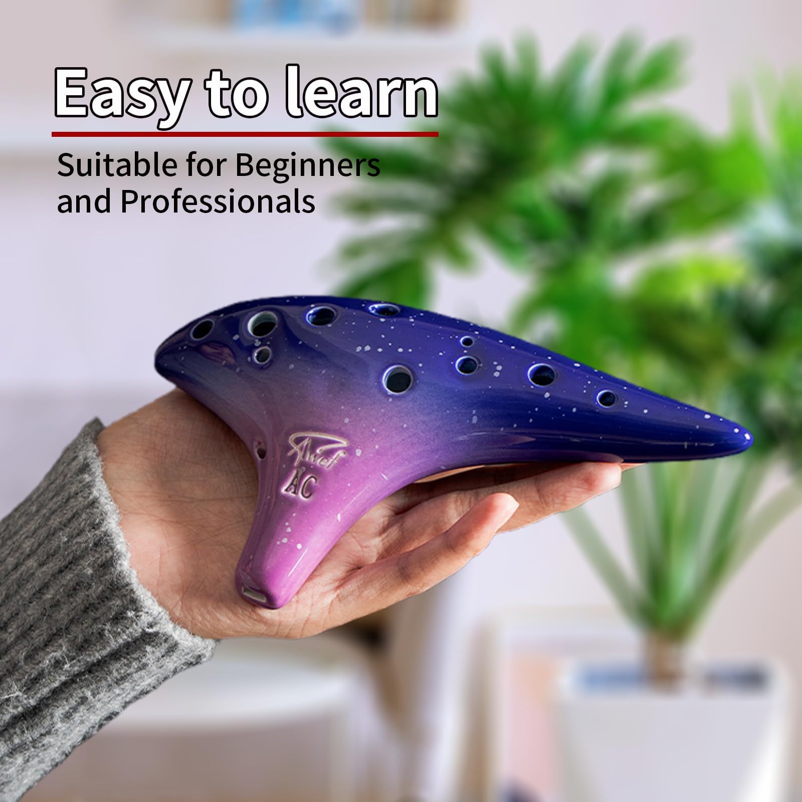 pieta okarina EXcellent ⅴG pieta okarina EXcellent ⅴG Amazon.com