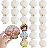 Vista 8 de 24 conchas de vieira para manualidades, conchas de vieira naturales de 4 a 5 pulgadas, conchas marinas blancas para manualidades, pintura