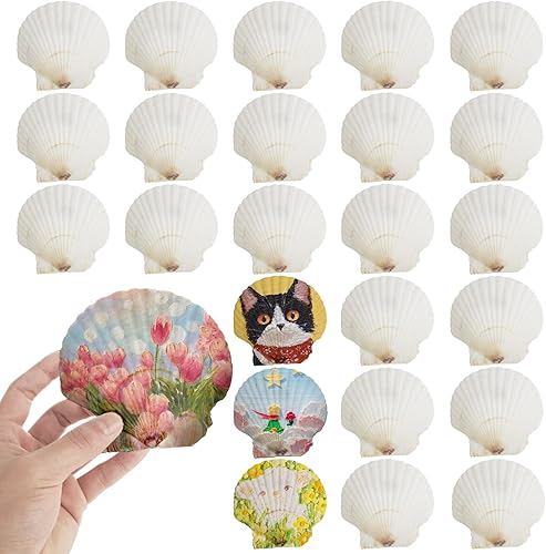 Miniatura 8 de 24 conchas de vieira para manualidades, conchas de vieira naturales de 4 a 5 pulgadas, conchas marinas blancas para manualidades, pintura de