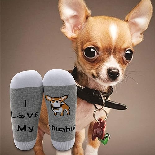 Miniatura 7 de MBMSO Regalos divertidos de Chihuahua, 2 pares de calcetines con texto en inglés "I Love My Chihuahua", regalo para amantes de Chihuahua
