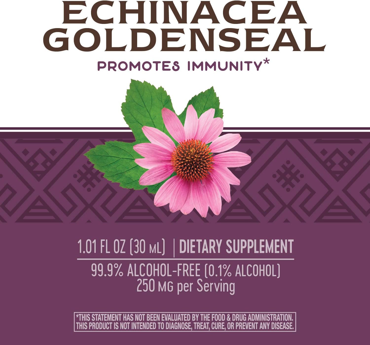 Nature's Way Premium Formula Echinacea-Goldenseal,Liquid, 250 mg per serving, 99.9% Alcohol-Free, 1.01 Oz.