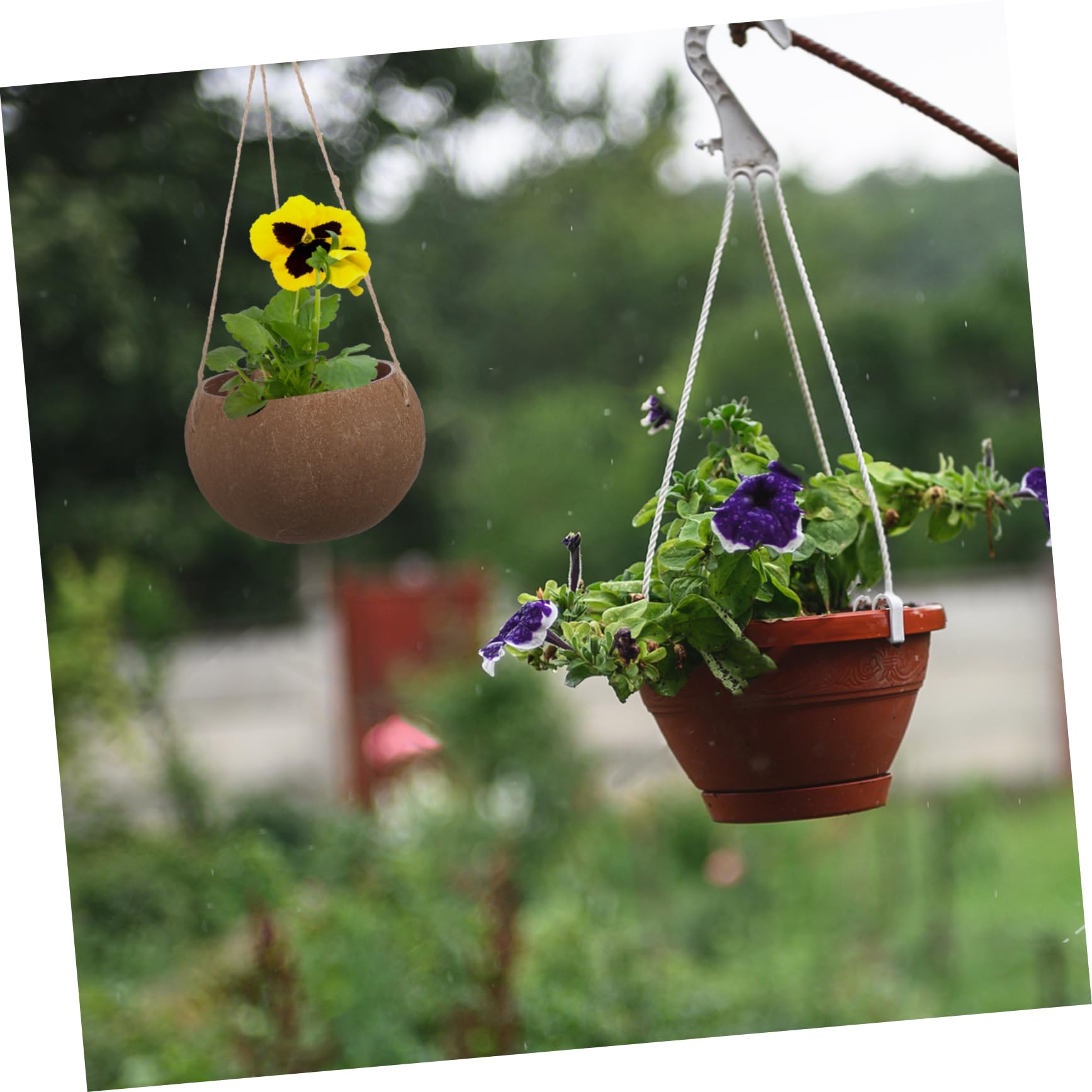 OFFSCH Coconut Shell Hanging Flower Pot Natural Indoor Outdoor Planter for Succulents Balcony Garden Home Decor with Durable Lanyard - Image 3