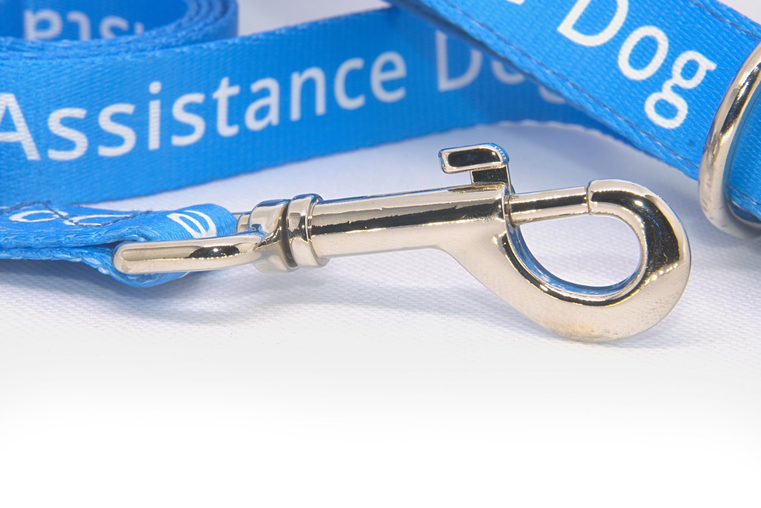 Durable Blue Assistance Dog Lead - 2.5cm/152cm - Padded Handle, Large - Image 2