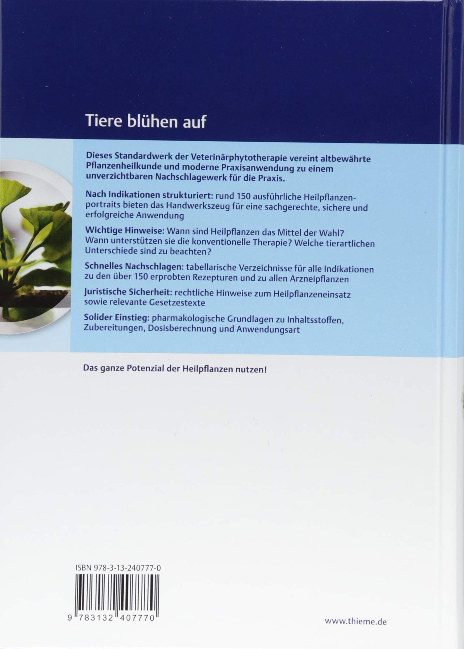 Phytotherapie in der Tiermedizin