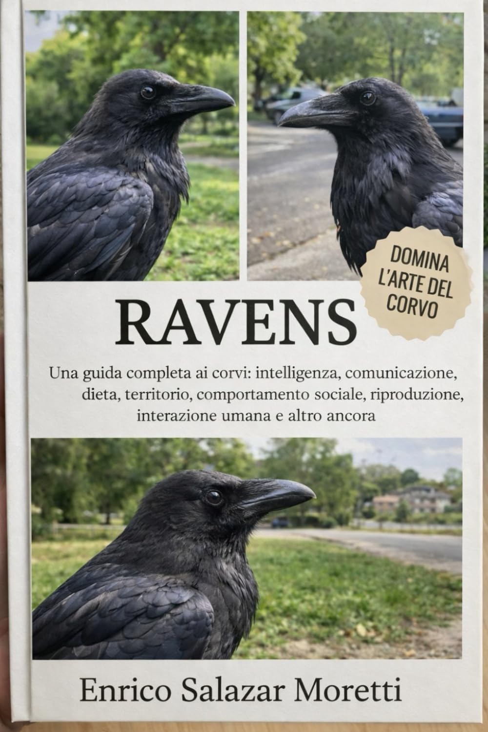 MANUALE PER PRINCIPIANTI DI RAVENS: Una guida completa ai corvi: intelligenza, comunicazione, dieta, territorio, comportamento sociale, riproduzione, interazione umana e altro ancora