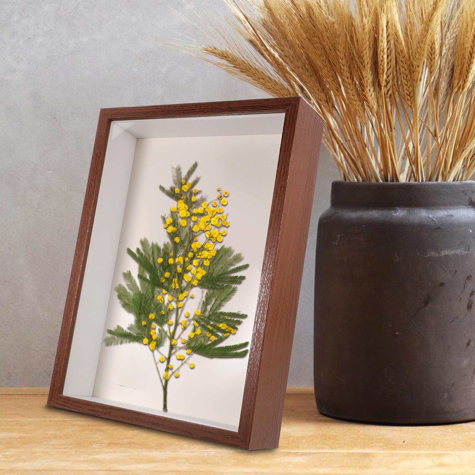 Cornice in Legno A4 per Fiori Secchi Finestra Trasparente Espositore da Tavolo per Decorazione Casa e Portafoto per Esemplari di Farfalle Decorazione Scrivania Fai da Te