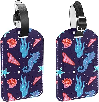 Baggage Suitcase Bag Backpacks 