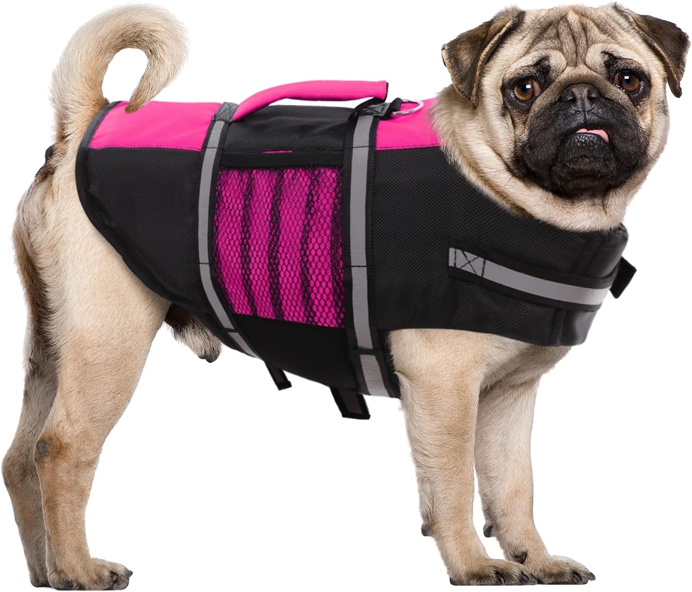 Queenmore Small Dog Life Jacket, Adjustable Pet Life Vest for Small and Medium Dogs with High Buoyancy, Rescue Handle, Reflective Bands for Boating, Canoeing, Swimming
