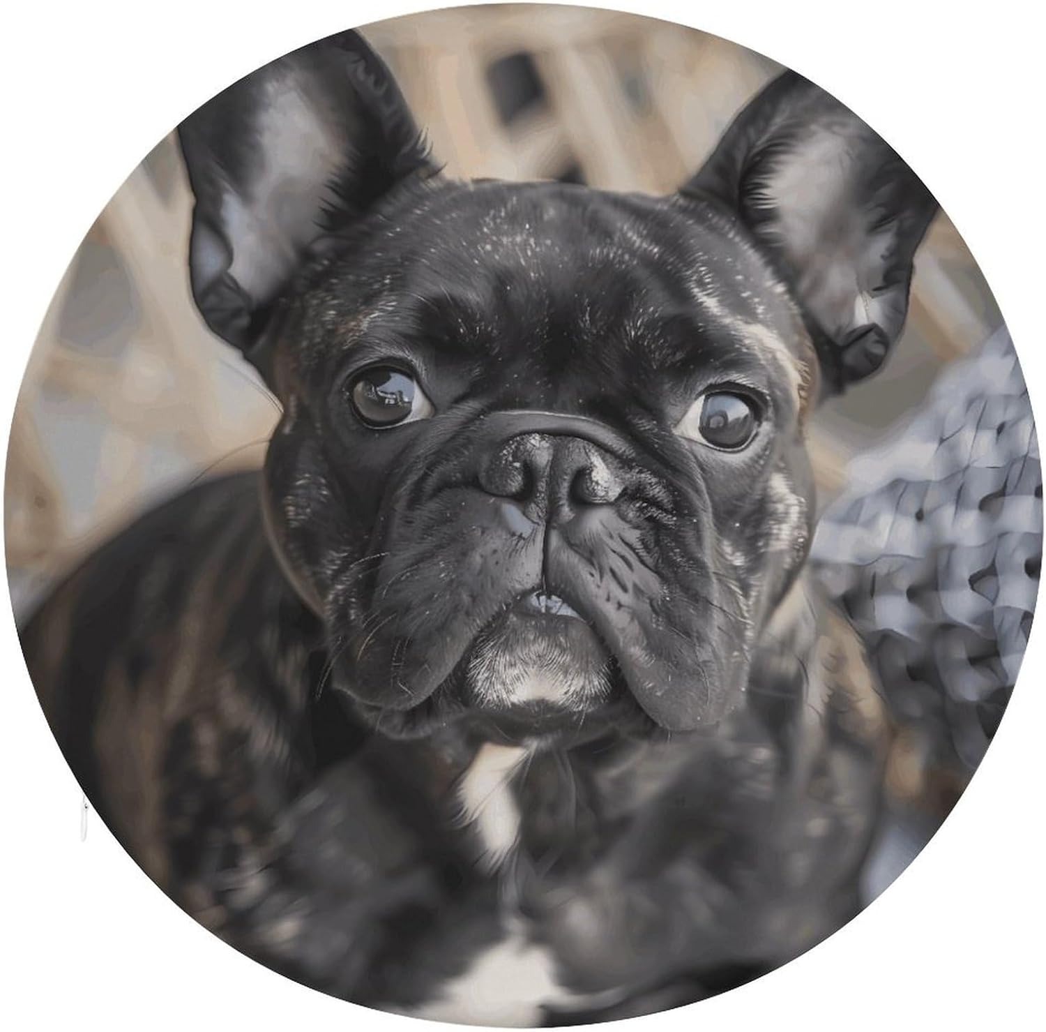 French Bulldog Chair Cushions Floor Pillow Chair Pad