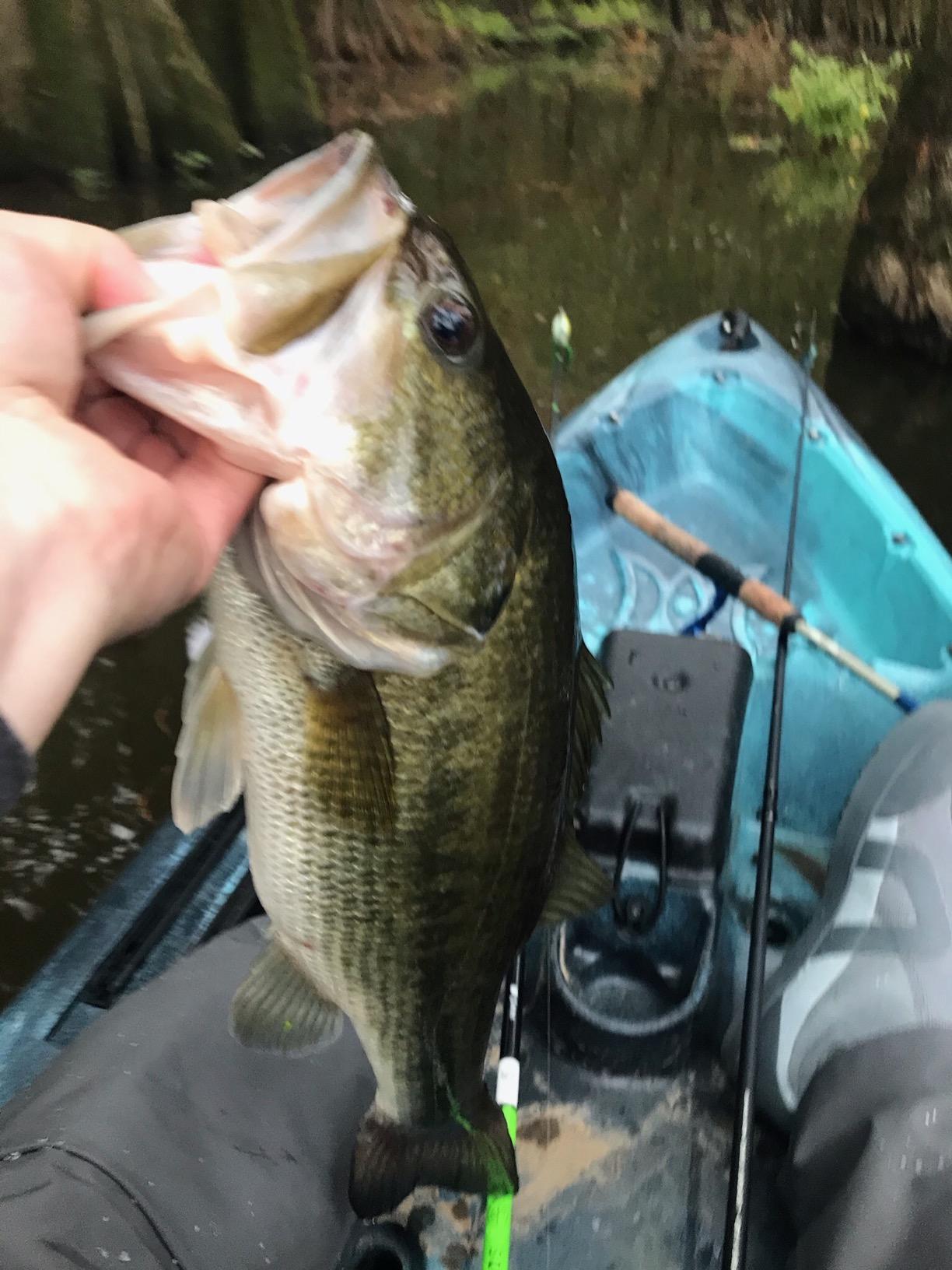 Perception Pescador Pro 12 Fishing Kayak