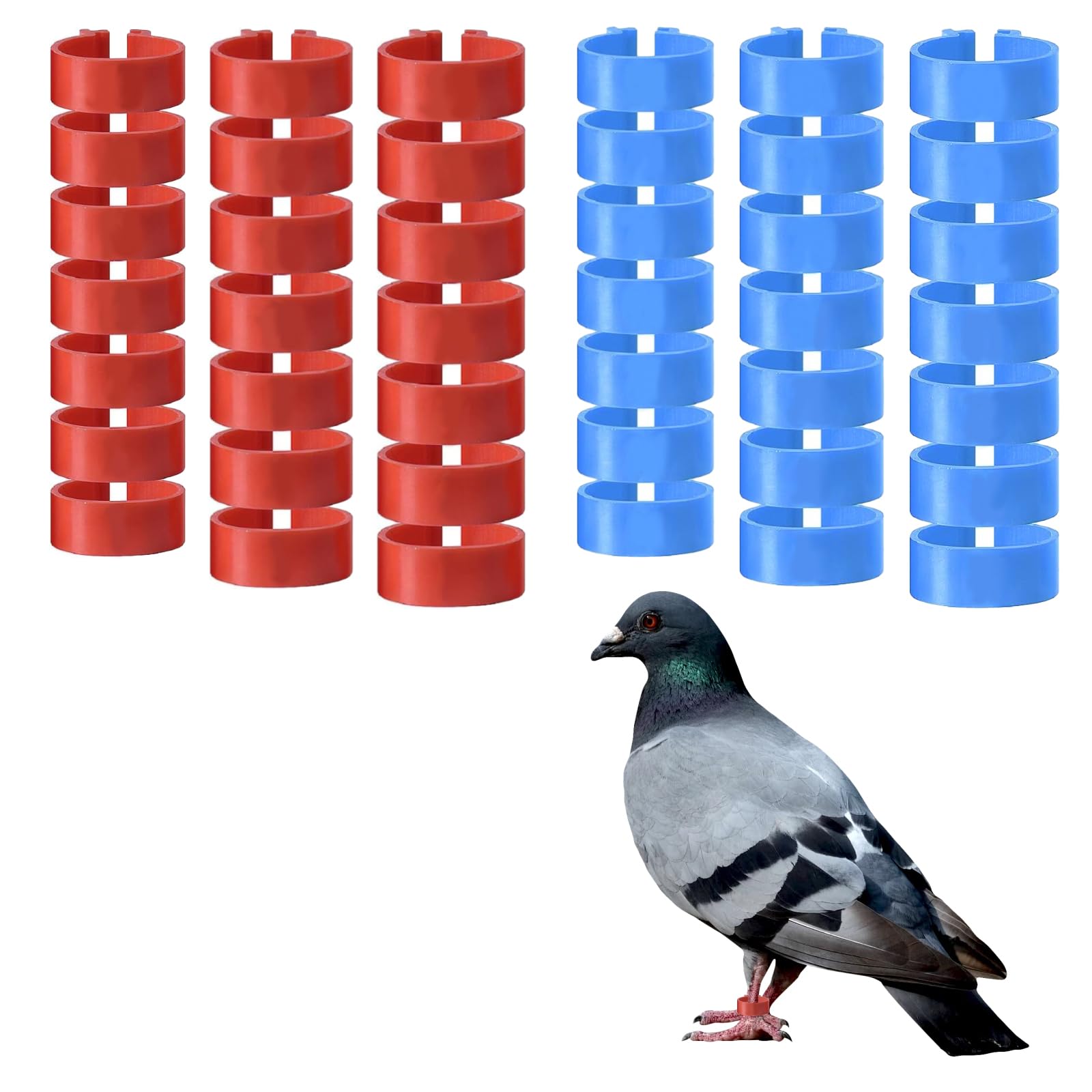 Anillas para Patas de Pollos y Palomas 10 16 20 mm Plástico para Marcar Aves