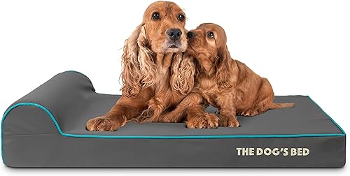 Miniatura 26 de Cama ortopédica para perro de la marca The Dog's Bed, espuma viscoelástica premium S-XXXL, impermeable, alivio del dolor de perro para la artritis,