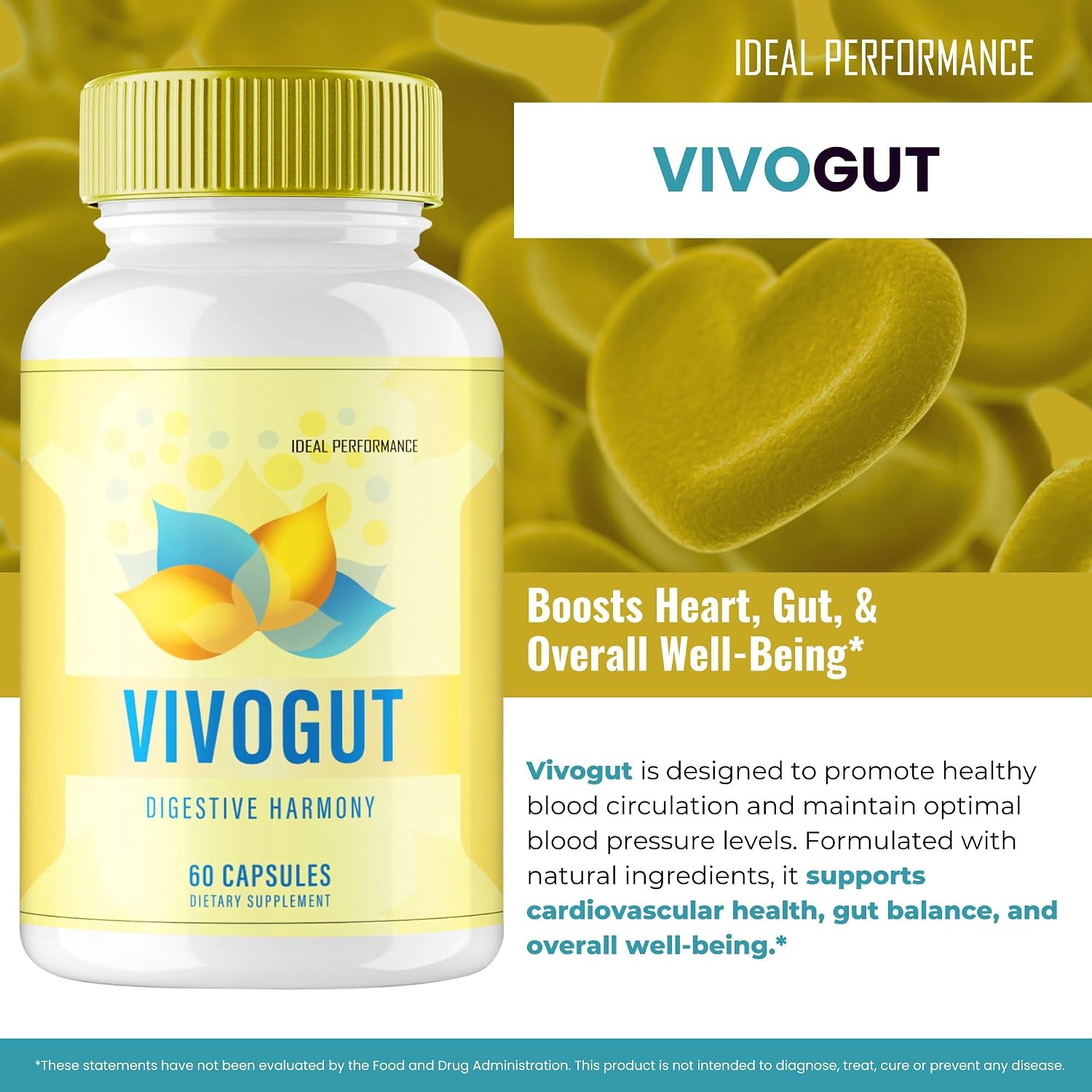 VivoGut View 4
