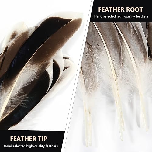 Miniatura 4 de THARAHT 120 plumas de pato natural gris natural de 4 a 6 pulgadas, 10 a 5.9in, a granel para manualidades, carnaval, trabajo, ropa, disfraces,