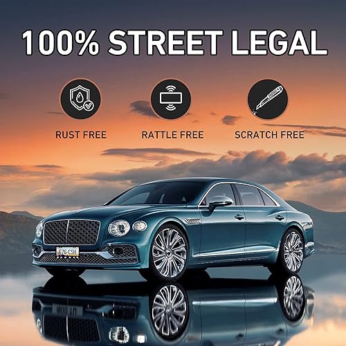 Miniatura 5 de Marco de matrícula de acero inoxidable con diseño de tortugas, accesorios decorativos para placa de matrícula, soporte para placa con 2 agujeros y