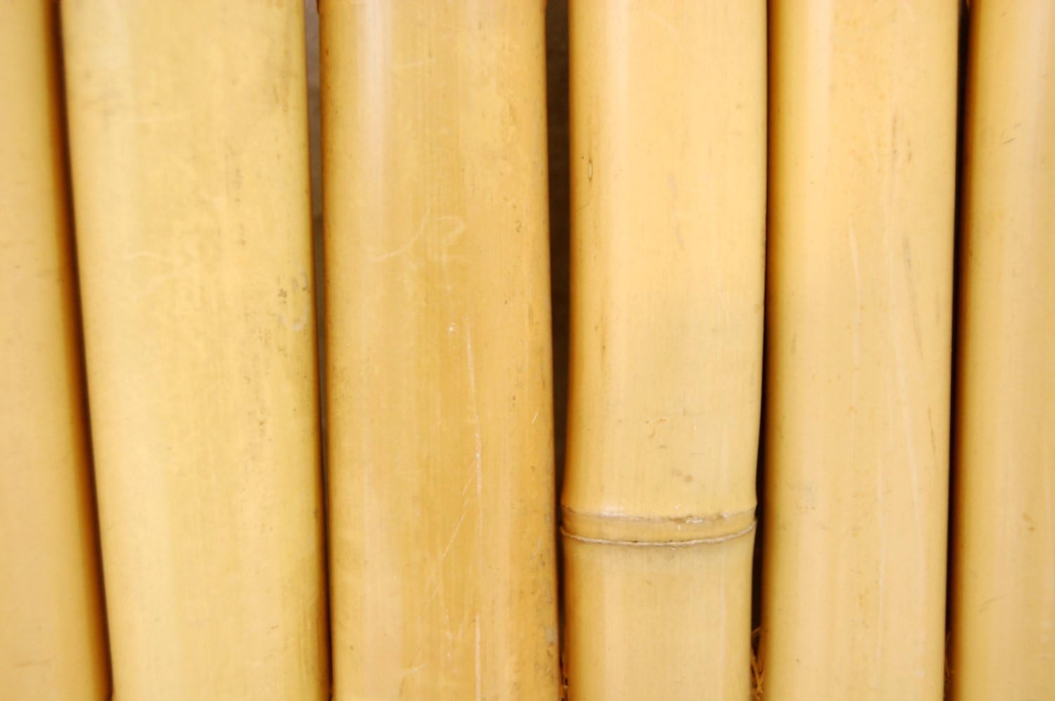 Backyard X-Scapes BAMA-BB02 Bamboo Border, 5 Pack, 7/8" D x 8" H x 23" L