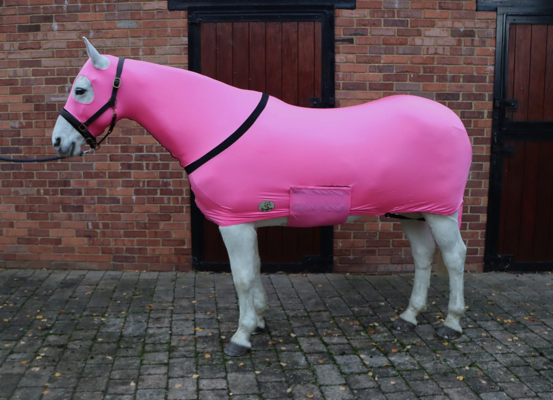 Ruggles Lycra Body Suit for Horse/Pony | Heat Sealed Seams | Detachable Tail Sleeve | Stretch Under Rug | Anti Rub Vest (Extra Large Without Ears, Pink)