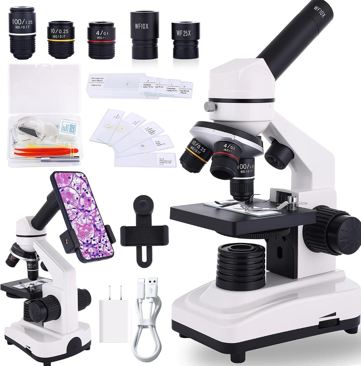 Microscopio para adultos y niños, microscopio compuesto de alta potencia 40X-2500X para estudiantes, laboratorio escolar y educación en el hogar, equipado con juego de diapositivas y soporte para teléfono (blanco)