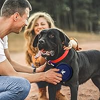 Vista 25 de Rest-Eazzzy Cuencos grandes plegables para perros de 33.8 fl oz, paquete de 2 cuencos de agua portátiles para perros, gatos y mascotas, plato