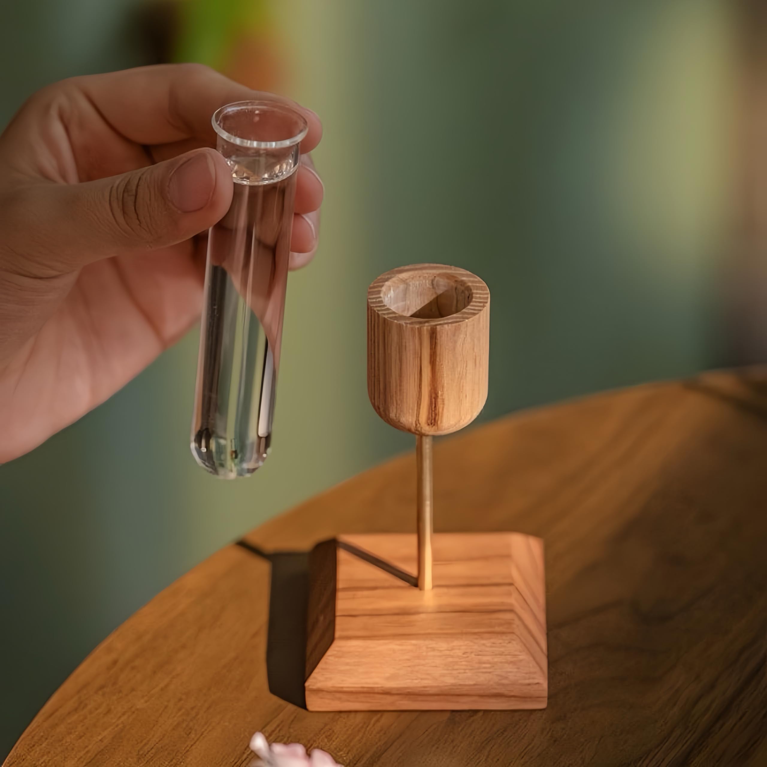2 Stück Pflanzen-Anzuchtstation, Desktop-Reagenzglas-Vase, geeignet für Hydrokulturpflanzen, Gartengeschenke für Frauen, Geburtstagsgeschenke für Pflanzenliebhaber