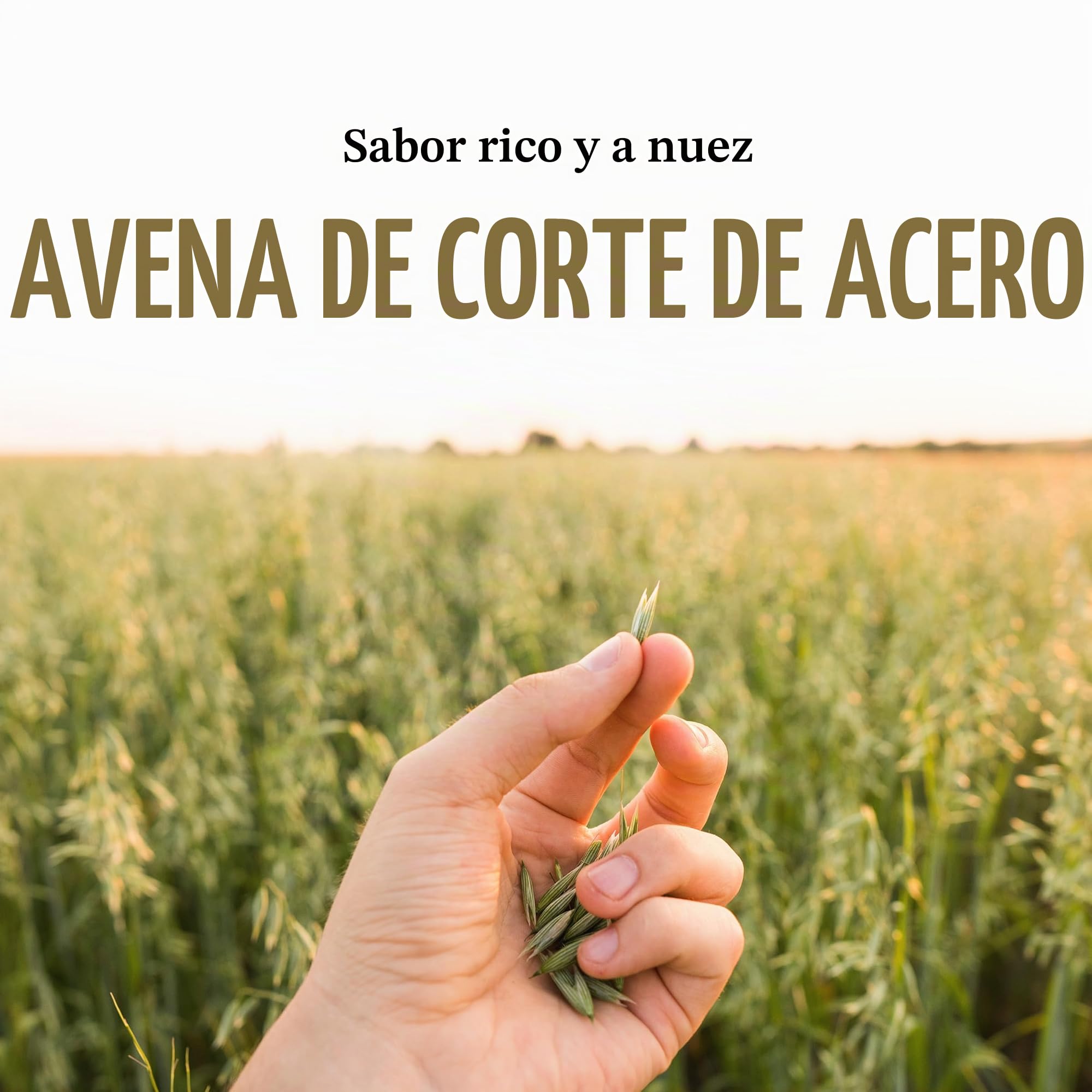 McCann's Avena irlandesa, avena tradicional cortada en acero, bolsa de 28 onzas