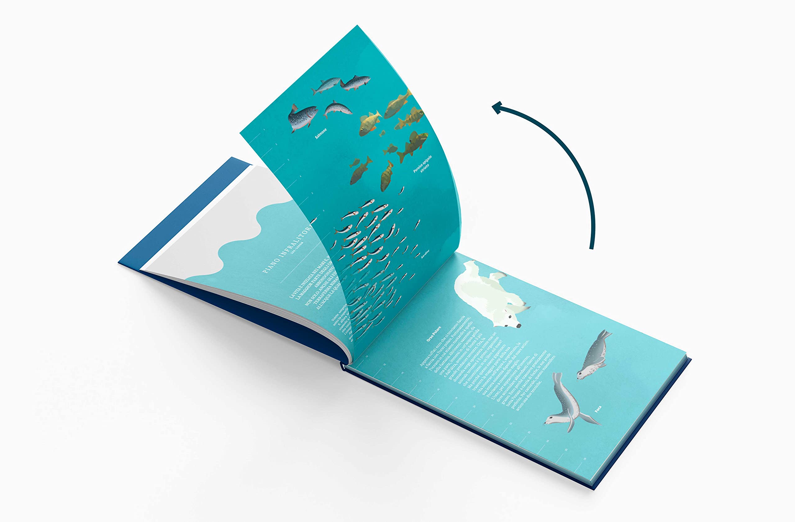 Giù nel blu. Dalla superficie agli abissi: viaggio sottomarino sfogliabile. Ediz. a colori