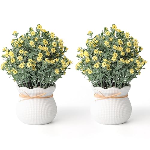 2 Pack Small Desk Plants, Artificial Bathroom Plants Decor with