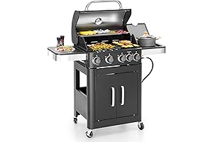 2 in 1 Propane Barbecue Grill with Versatile Features