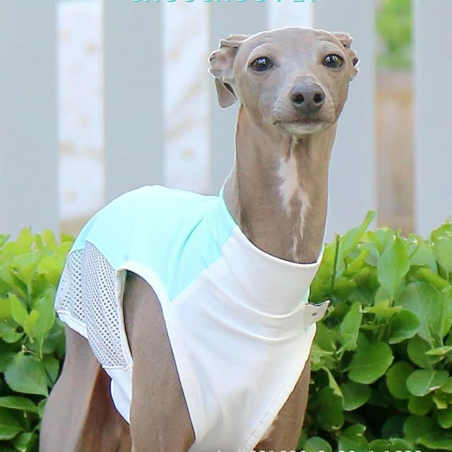 Foto 4 de 6 de IUOUTG Chaleco De Enfriamiento para Perros Grandes, Camisa De Sol De Perro De Verano Transpirable