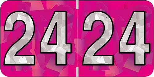 Doctor Stuff 2024 - Calcomanías para gráficos del año 2024, color fucsia holográfico, etiquetas de año fabricadas en Estados Unidos para carpetas de