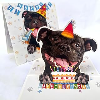 3D Pop-Up Staffordshire Terrier Dog Birthday Card - Staffordshire Bull Terrier Dog - Happy Birthday Greeting for Dog Lovers - Staffordshire Terrier Dog 3D Birthday Pop Up Cards