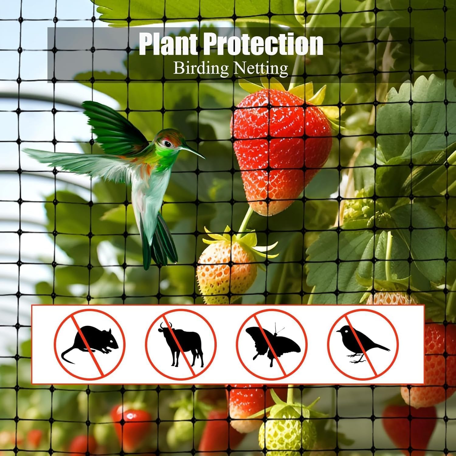 SCHOME skycabin Garden Plant Netting - Size 94CMx5M - Protect Seedlings/Vegetables/Soft Fruits/Plants Protect Against Birds Garden Netting