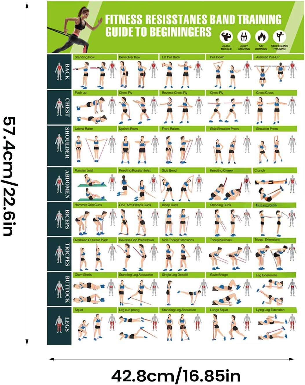 Gym Posters | Resistance Bands Planner Fitness Accessories | Resistance Bands Workout Posters Wall Decor,for Muscle Building Stretching Yoga Exercise Training Indoor Home Club Men Women