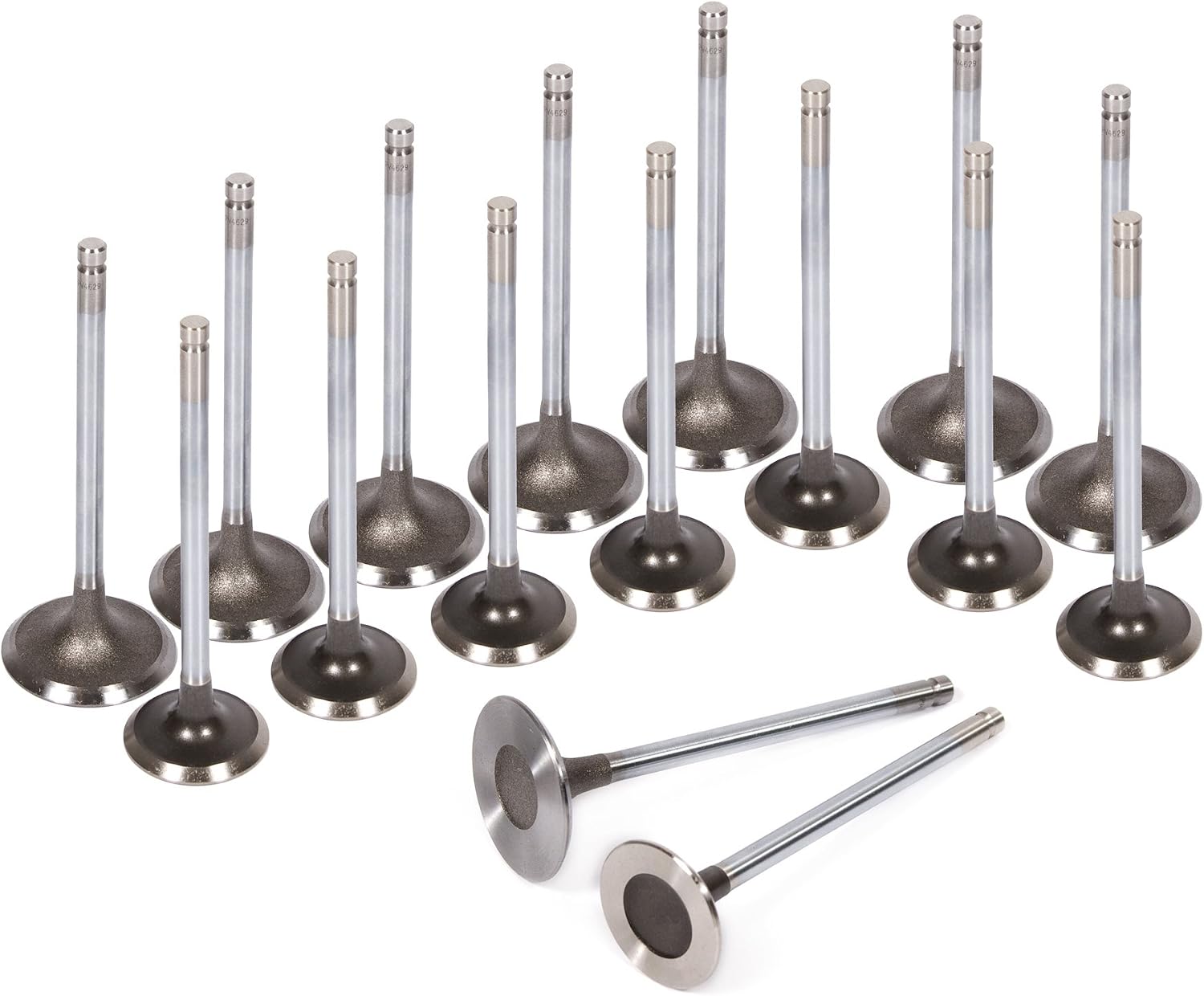 Evergreen HSHBIEV2032 Head Gasket Set Head Bolts Intake Exhaust Valves Compatible With 95-01 Toyota Tacoma 4Runner T100 2.7L DOHC 3RZFE