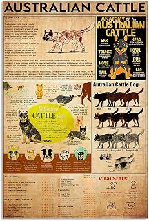 Australian Cattle Dog Metal Signs Vintage Pet Shop Decor Plaque Pet Science Knowledge Tin Poster Home Club Farm Wall Decoration 6"x8"