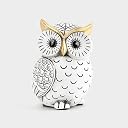 Owl Statue for Home Decor Accents,Owl Decor for Bookshelf Bedroom Living Room Office Table Desk Mantle TV Stand Boho Decoration,Modern Shelf Decor Accents Animal Sculptures for Birds Lovers,Owls Gift