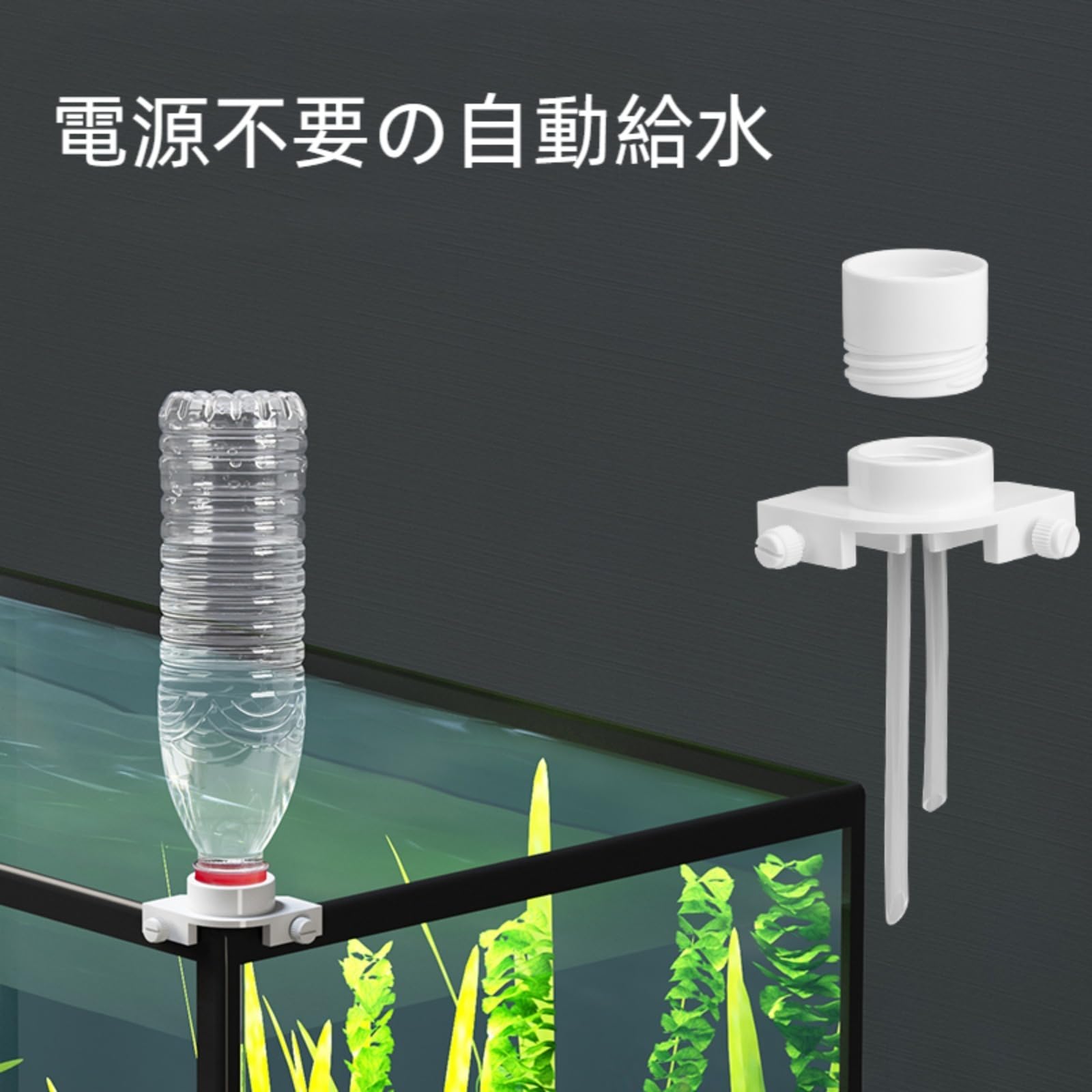 Amazon.co.jp: 水槽自動水補充装置ツール 水族館用自動給水器