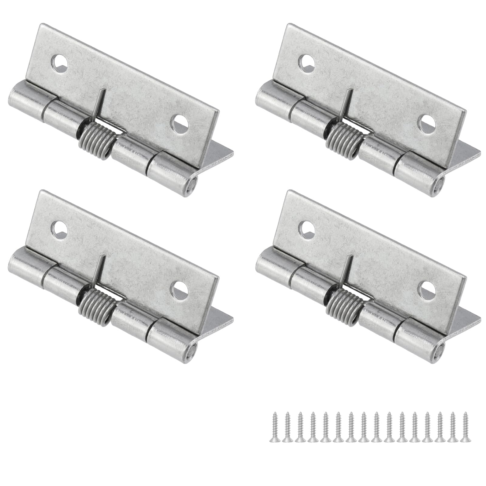 Rannb Spring Hinge Self Opening Hinge 2" Length Stainless Steel Door Hinge - Pack of 4