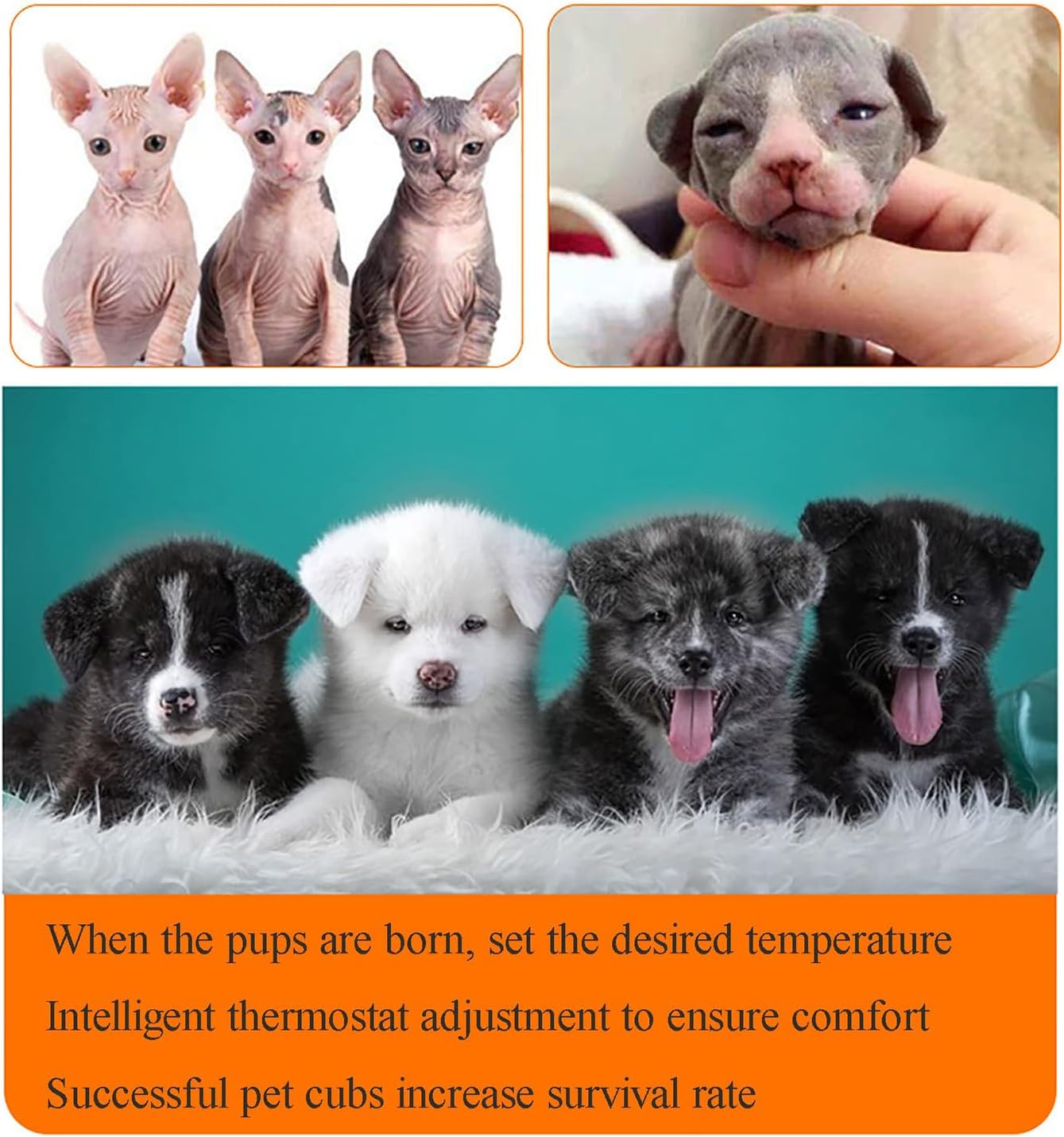 Pet Incubator Box, Cat Incubator for Puppies, Large PET Brooder Nursery Dog, Puppy Incubator, 60X50X50cm, Provide A Clean, Warm and Comfortable Living Environment for Pet