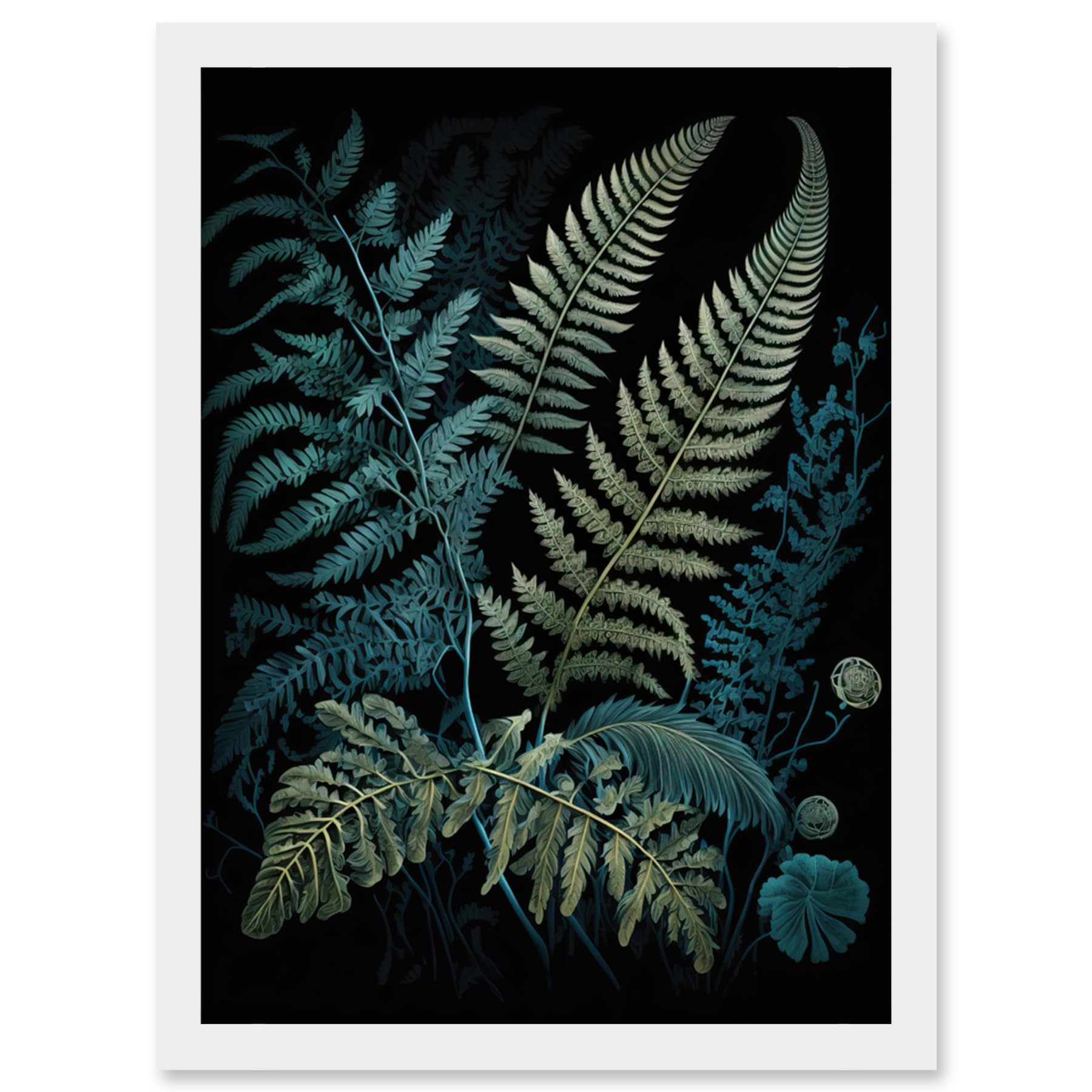Ernst Haeckel Style Leaf Illustration Fern Fronds Framed Art Picture Print A4