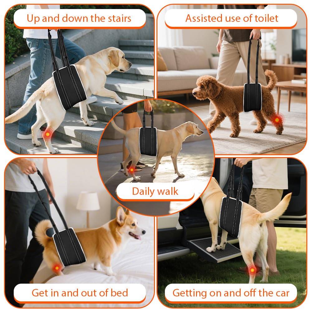 Imbracatura per Cani Regolabile, Pettorina per Cani con Maniglia, Camminata Assistita, Cintura di Sostegno per Cane, Supporto per Cane Anziani e Disabili (S)