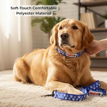 BOLDPET Dog Collar and Leash Set - Durable Adjustable Puppy Collar with Secure Metal Buckle and 5 ft Length Leash - Professional Grade Polyester for Small Medium and Large Dogs