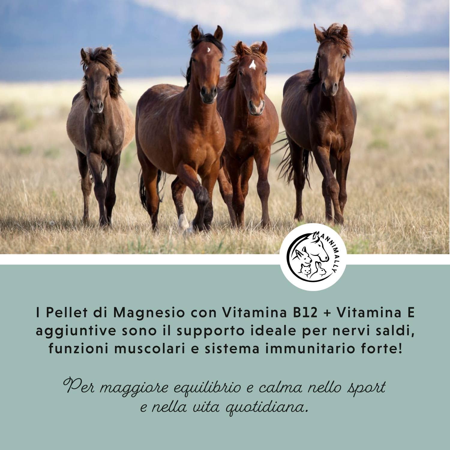 Annimally Pellet di Magnesio per Cavalli 1 kg - Acetato di Magnesio e Ossido di Magnesio per la Massima biodisponibilità