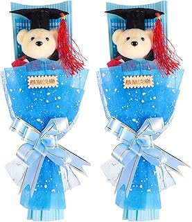Ipetboom Buquê De Urso De Formatura 2 Pçs Brinquedo De Urso De Pelúcia De Formatura Com Chapéu De Doutorado Boneca De Urso Para Cerimônia De Formatura 2023 Suprimentos Para Festa De